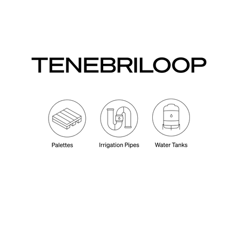 Tenebriloop